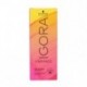 Exitenn Color Soft Emulsion Reveladora 1000 Ml