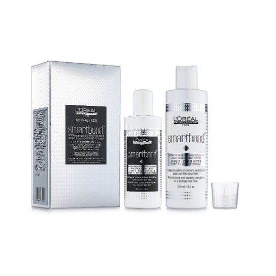 L’Oreal Expert Smartbond Minikit