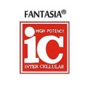 FANTASIA IC