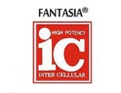 FANTASIA IC