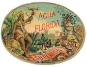 AGUA FLORIDA